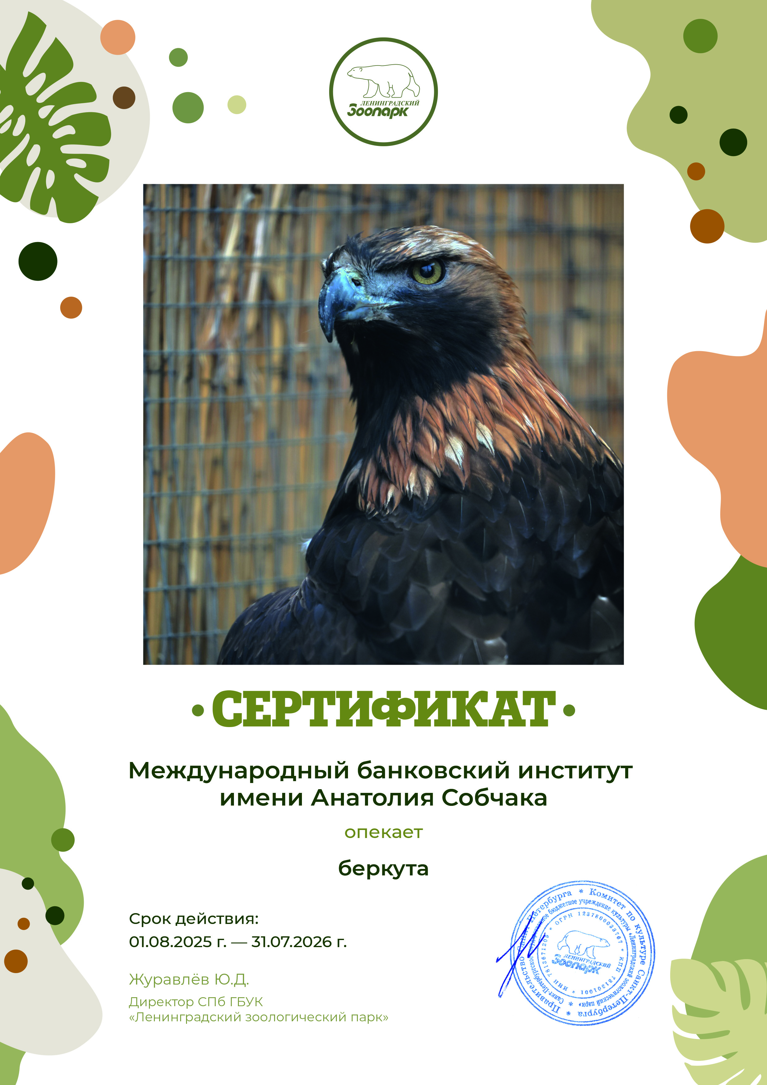 Международный банковский институт стал опекуном беркута — питомца Ленинградского зоопарка!